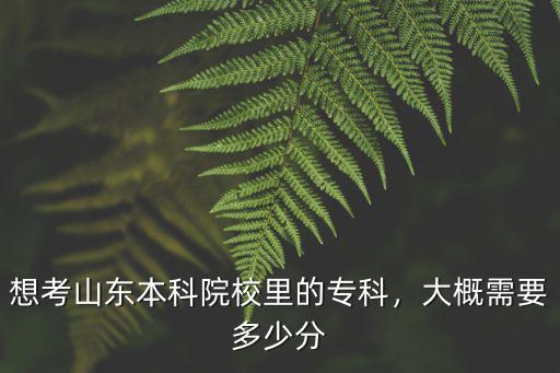 想考山東本科院校里的專科，大概需要多少分