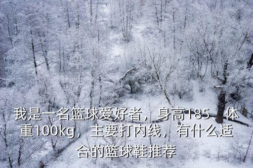 我是一名籃球愛好者，身高185、體重100kg，主要打內(nèi)線，有什么適合的籃球鞋推薦