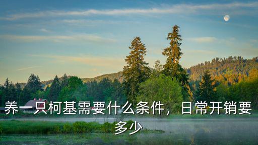養(yǎng)一只柯基需要什么條件，日常開銷要多少