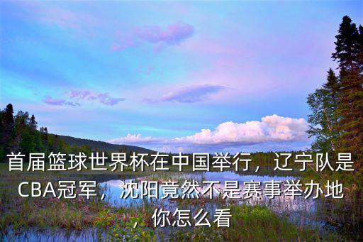 籃球世界杯東莞怎么訂票,籃球世界杯美國VS法國