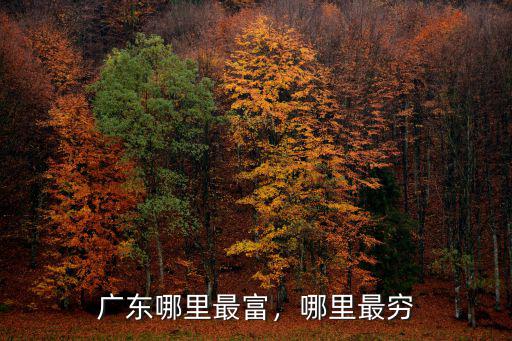 廣州富豪島在哪里,廣州的富人區(qū)在哪里