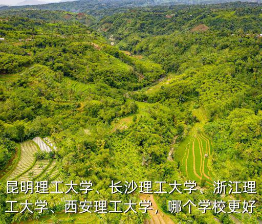 浙江理工大學(xué)論文重復(fù)率多少,昆明理工大學(xué)