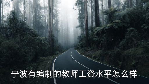 寧波高中教師工資大概多少,一個月工資大概有多少
