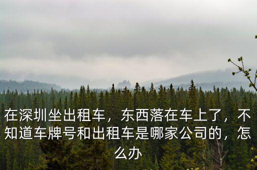 在深圳坐出租車，東西落在車上了，不知道車牌號和出租車是哪家公司的，怎么辦
