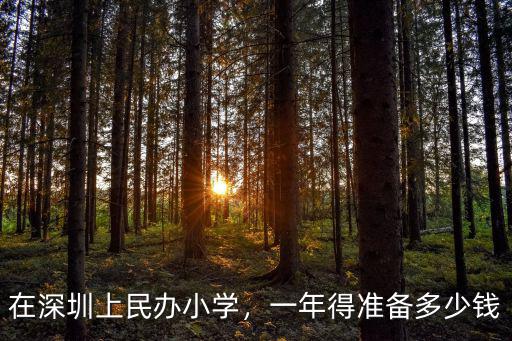廣東小學學費要多少錢深圳,在深圳上民辦小學
