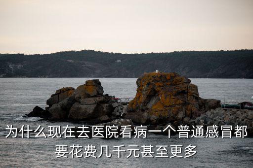 為什么現(xiàn)在去醫(yī)院看病一個普通感冒都要花費幾千元甚至更多