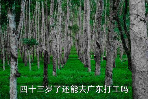 廣州多少歲能打工,16歲可以休學去廣州打工嗎
