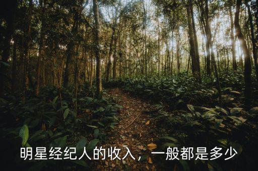 杭州當紅明星經紀人多少錢,為什么明星都需要經紀人