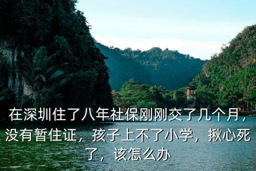 在深圳住了八年社保剛剛交了幾個月，沒有暫住證，孩子上不了小學，揪心死了，該怎么辦