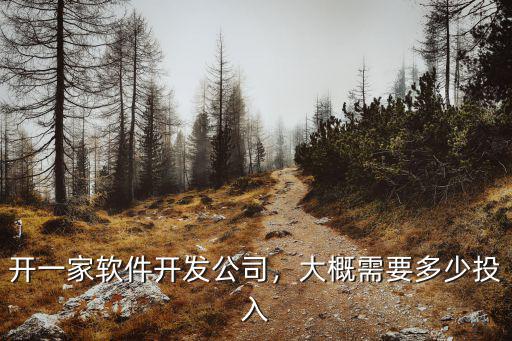 開一家軟件開發(fā)公司，大概需要多少投入