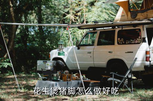 花生煲豬腳怎么做好吃