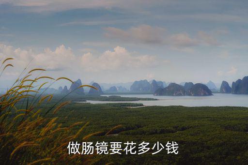 廣州人民醫(yī)院做腸鏡多少錢,增城人民醫(yī)院照腸鏡多少錢