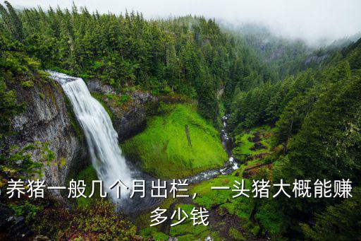 珠海酒店的乳豬一般多少錢一只,養(yǎng)豬一般幾個(gè)月出欄
