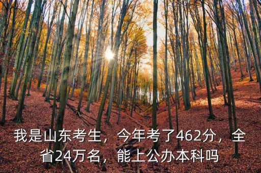 我是山東考生，今年考了462分，全省24萬名，能上公辦本科嗎