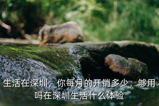 生活在深圳，你每月的開銷多少，夠用嗎在深圳生活什么體驗