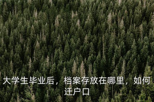 河源戶籍大學(xué)生檔案存檔在哪里,大學(xué)生畢業(yè)后