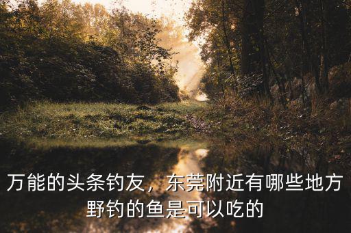 東莞石龍哪里有可以釣魚的水庫,東莞有哪些可以釣魚的地方