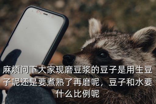 麻煩問下大家現磨豆漿的豆子是用生豆子呢還是要煮熟了再磨呢，豆子和水要什么比例呢