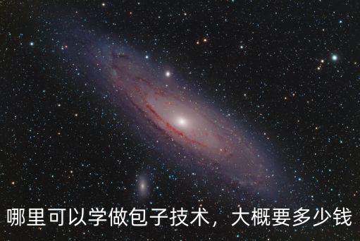 哪里可以學做包子技術，大概要多少錢