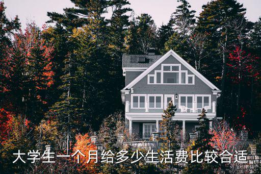 大學(xué)生一個月給多少生活費(fèi)比較合適
