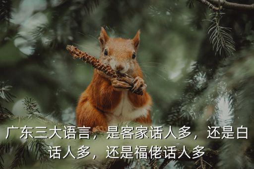 廣東廣府和客家哪里人多,有人說廣東廣府人才輩出