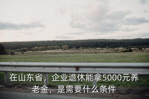 在山東省，企業(yè)退休能拿5000元養(yǎng)老金，是需要什么條件