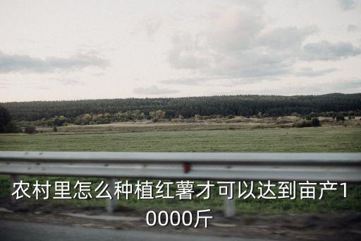 農(nóng)村里怎么種植紅薯才可以達(dá)到畝產(chǎn)10000斤