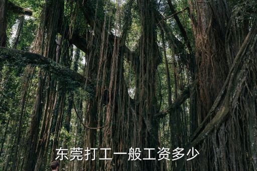 東莞電子廠編程工人多少錢一個月,在東莞的電子廠上班