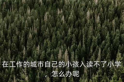 在云浮沒有房子小孩怎么讀小學(xué),在城里買不起房子