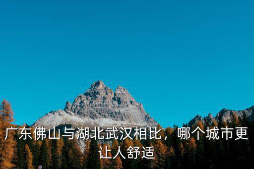 大石橋到佛山怎么避開湖北,廣東佛山與湖北武漢相比