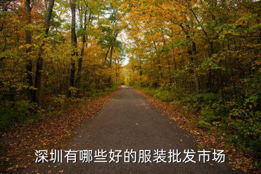 深圳有哪些好的服裝批發(fā)市場(chǎng)