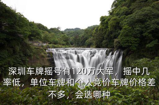 深圳車牌搖號每期多少名額,深圳車牌搖號有120萬大軍