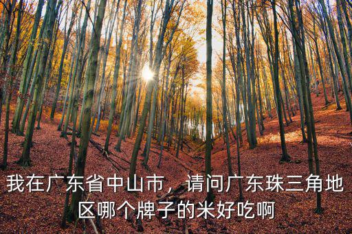 在廣東去哪里買(mǎi)大米,最好的大米在我國(guó)