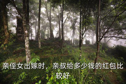 溫州過年給親侄女多少紅包,過年給晚輩一般多少紅包