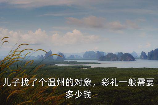 兒子找了個溫州的對象，彩禮一般需要多少錢