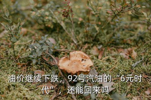山東郯城縣加油站92號汽油多少錢,92號汽油的6元時代