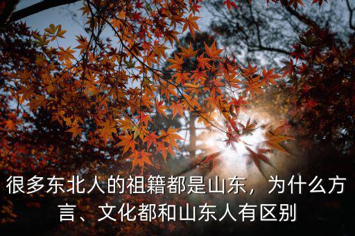 很多東北人的祖籍都是山東，為什么方言、文化都和山東人有區(qū)別