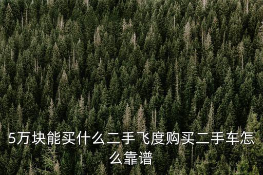 5萬塊能買什么二手飛度購買二手車怎么靠譜