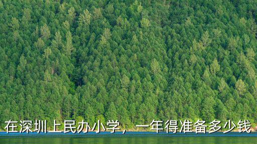 深圳龍華民辦小學(xué)學(xué)費(fèi)多少,在深圳上民辦小學(xué)