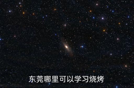 東莞魔方學習哪里學,東莞哪里可以學習燒烤
