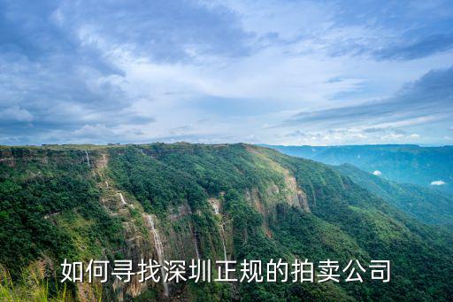 深圳瀚海拍賣(mài)公司怎么樣,深圳哪里有正規(guī)拍賣(mài)公司呢