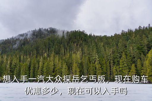 臺州大眾探岳優惠多少,想入手一汽大眾探岳乞丐版