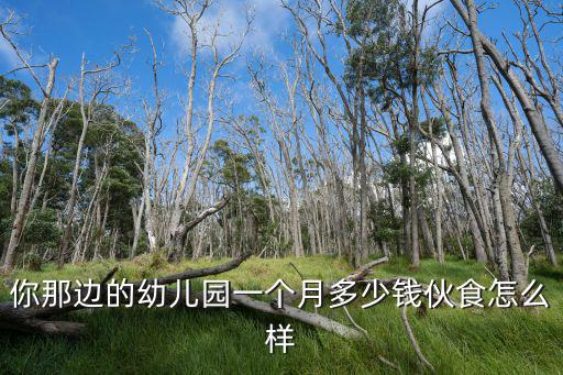 佛山上幼兒園多少錢一個月多少錢,你覺得多少錢一個月是理想的