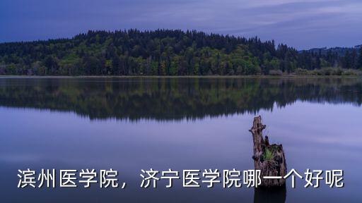 濟寧醫(yī)學院武書連榜多少名,山東濟寧醫(yī)學院怎么樣