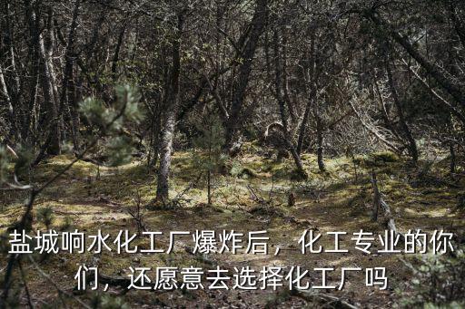 鹽城響水化工廠爆炸后，化工專業的你們，還愿意去選擇化工廠嗎