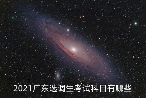 廣東選調生哪里考試,我想考廣東選調生