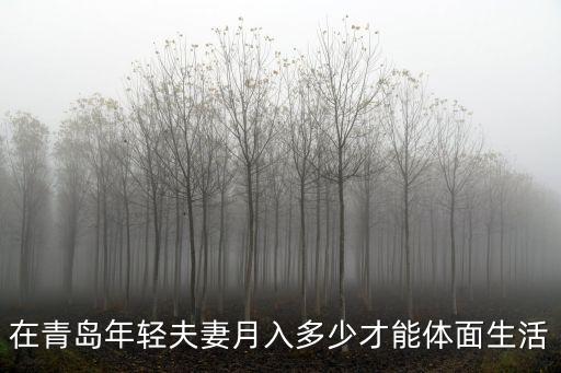在青島年輕夫妻月入多少才能體面生活