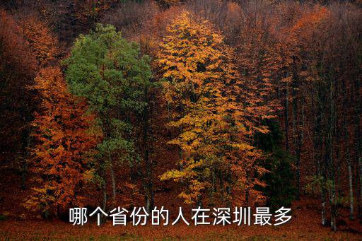 哪個(gè)省份的人在深圳最多