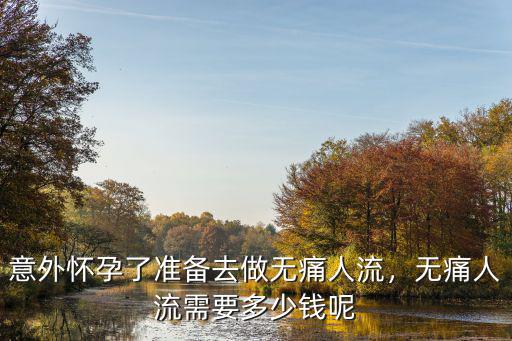 在惠州無痛人流要多少錢,意外懷孕了準備去做無痛人流