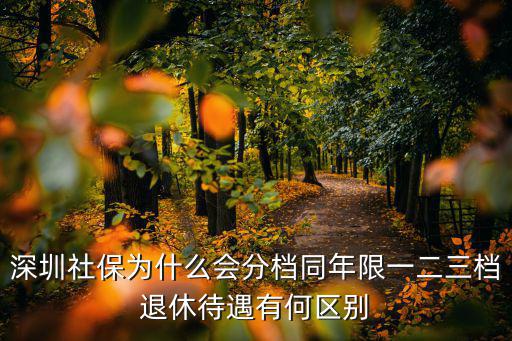 深圳社保局一二三檔相差多少錢(qián),深圳社保為什么會(huì)分檔